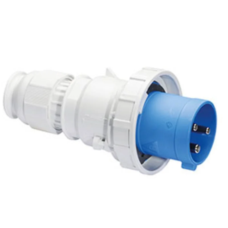 Neptune Bals Insulated Plug 125 A 2 Pole+E 230 V 2191