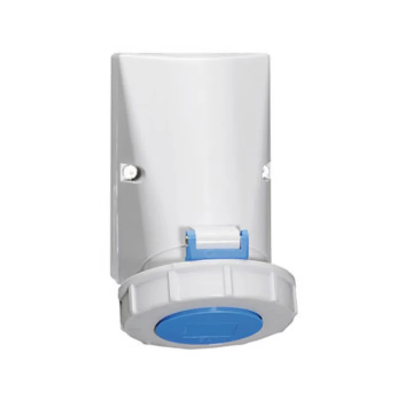 Neptune Bals Insulated Socket 125 A 2 Pole+E 230 V Surface Mounted 11427