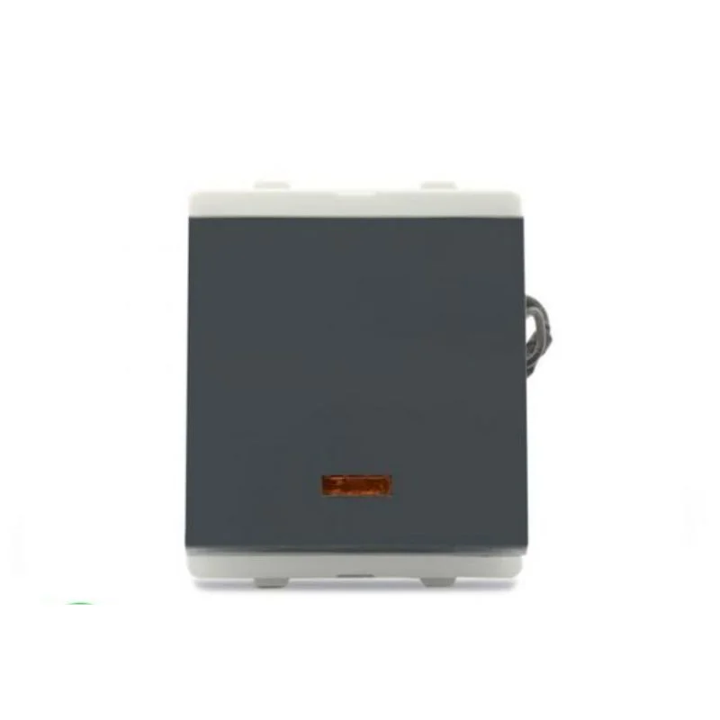 Schneider Electric Livia DP Switch 20 A Pebble Grey 2 Module With Indicator P1120DG