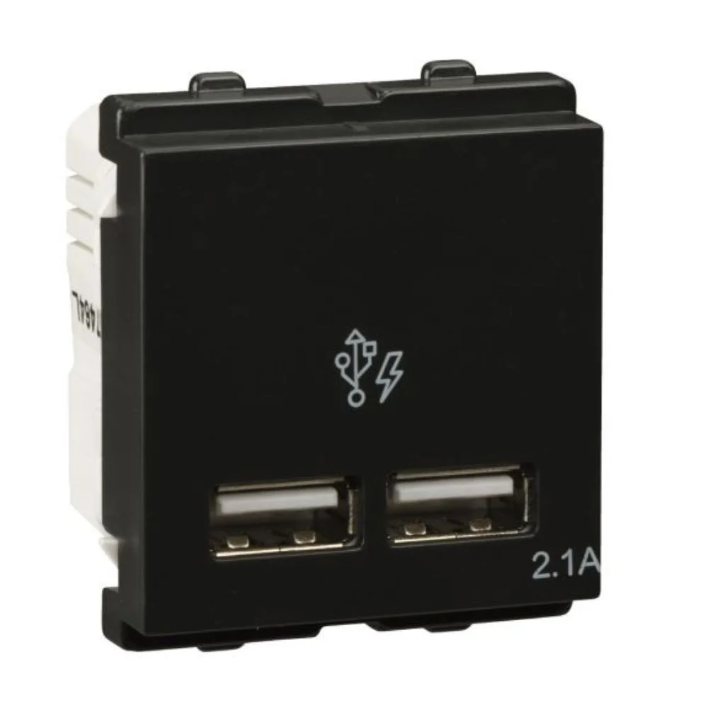 Schneider Electric Opale Coke Grey USB Charger Socket 2.1 A 2 Module AAKY7003